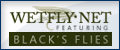 Wetfly