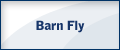 Barn Fly