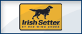 Irish Setter