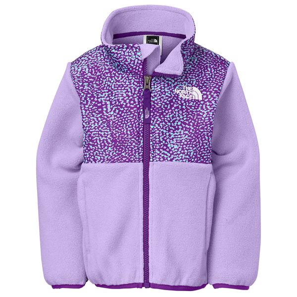 The North Face Denali Jacket Reviews