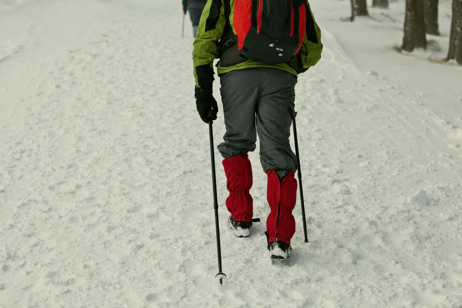 How to Keep Feet Dry While Winter Hiking and Snowshoeing ...