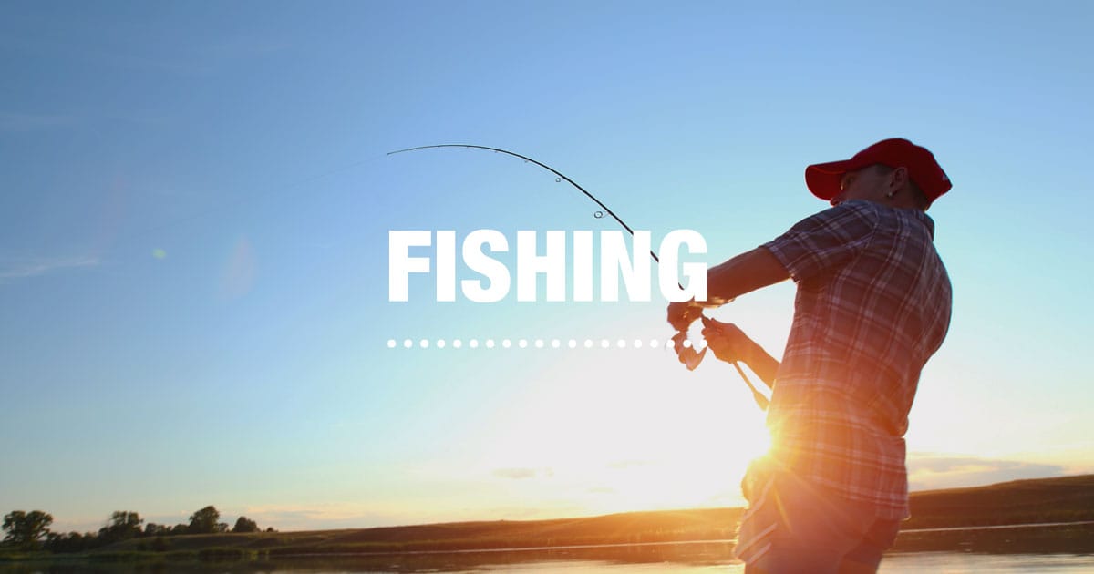 Unleash Your Fishing Potential with Daiwa Fishing Rods and reels : The  Ultimate Tool for a Successful Fishing Trip