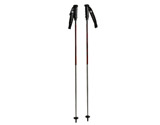 Ski Poles