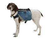 Pet Supplies