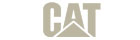 Caterpillar