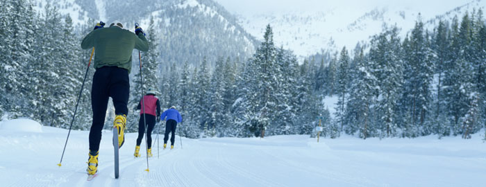 The Nordic Skiing Guide