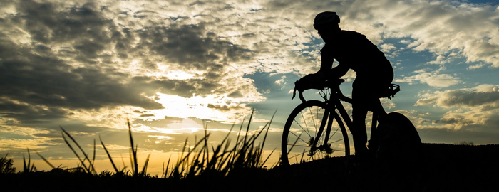 The Triathlon Guide
