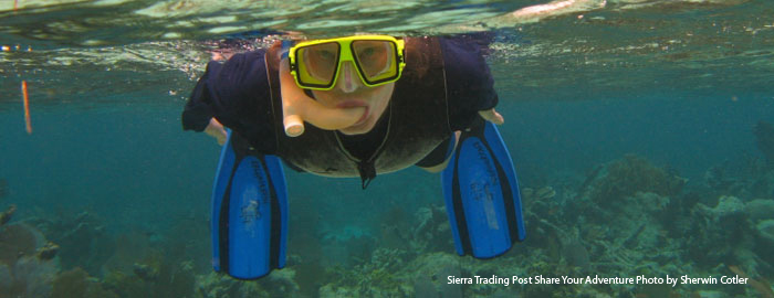 The Wetsuit Guide