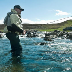 Fly Fishing Basics Clinic