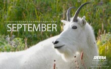 Christine Stack Calendar