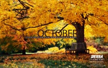Patricia Maulding Calendar
