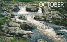Patty Paul Calendar
