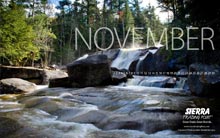 Nicholas Shaw Calendar