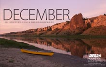Stevie fischer Calendar