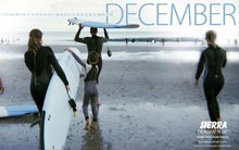 Stevie fischer Calendar