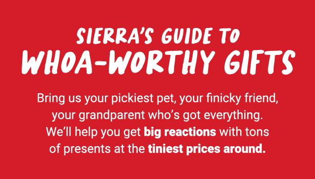 Sierra's guide to whoa-worthy gifts. Bring us your pickiest pet, your finicky friend, your grandparent who's got everything. We'll help you get big reactions with tons of presents at the tiniest prices around.