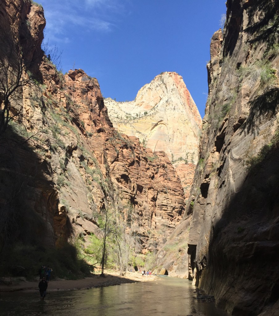 7 Things To Do In Zion National Park | Sierra Trading Post Blog