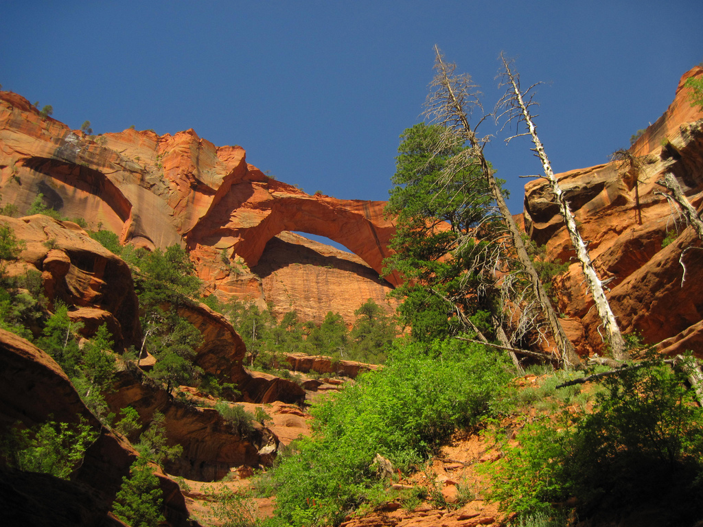 7 Things To Do In Zion National Park Sierra Trading Post 