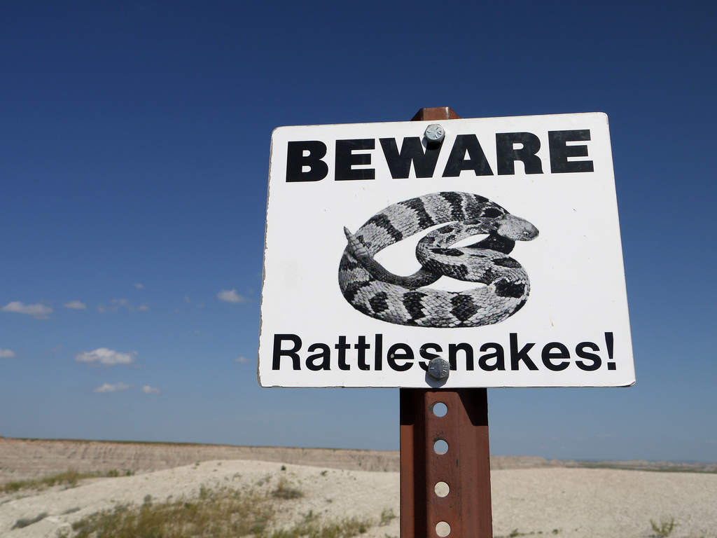 Tips For Hiking In Rattlesnake Country | Sierra Blog