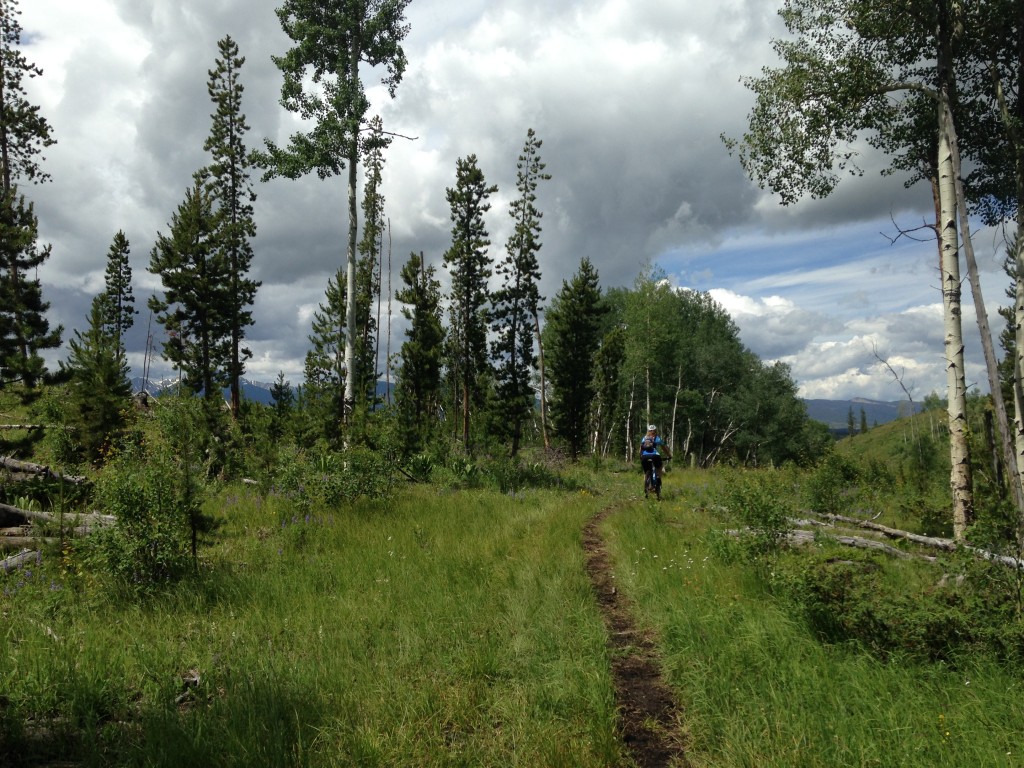 Even in the summer, you can enjoy a ski hill! Trestle MTB Park at Winterpark, just outside of Denver, is one place to try.