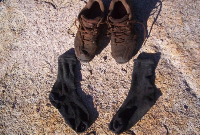 Rock McCharles Sock pic