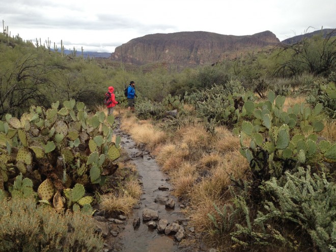 Desert Hiking