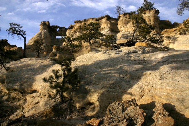 Palmer Springs