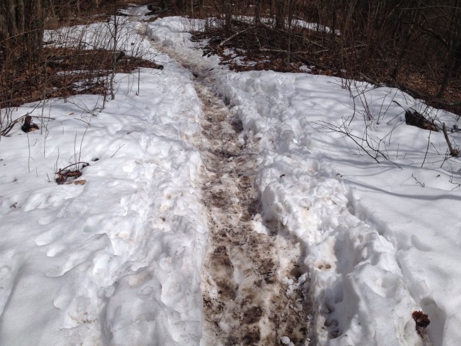 Snow Hike