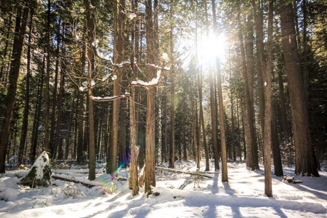 Winter photos-3