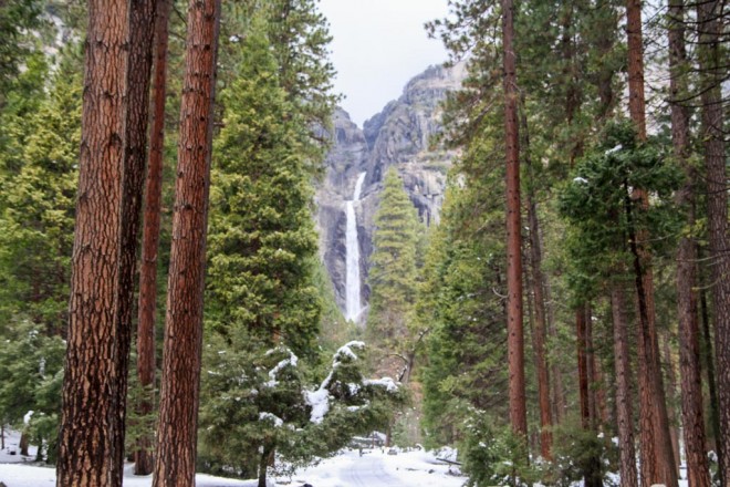 Winter photos-6