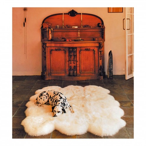Sheepskin Rugs Sierra Trading Post