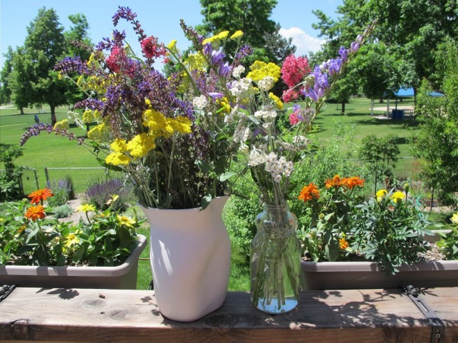 Xeriscape Garden