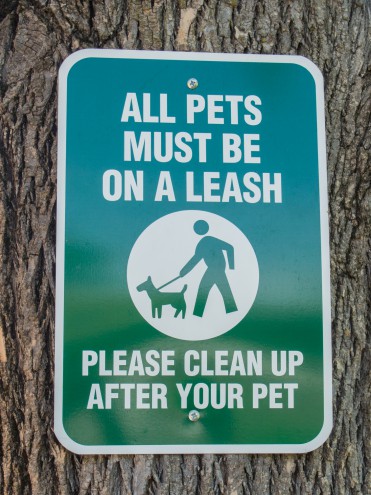 Dogs Leave No Trace