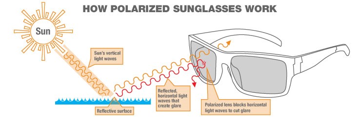 Use of polarized outlet glasses