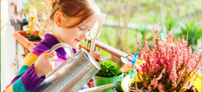 Container Gardening