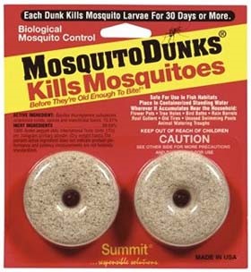 Mosquito