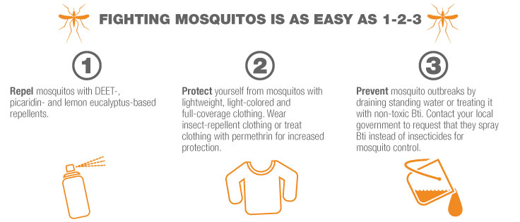 3 Ways To Prevent Mosquito Bites | Sierra Blog