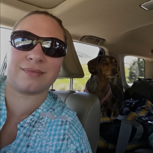 Dog Travel Road Trip