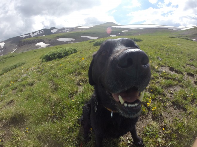 Sprocket | Photo Credit: Beth Lakin