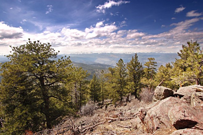 Dog-friendly Hikes Boulder