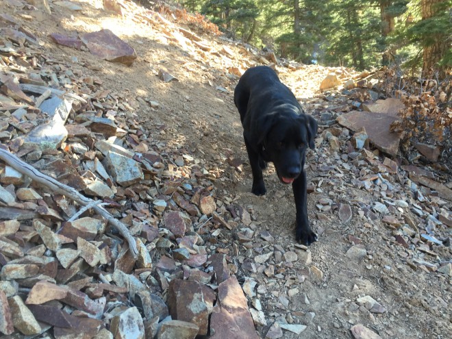 Old Horsethief Trail in Ouray, Colorado | Photo Credit Beth Lakin