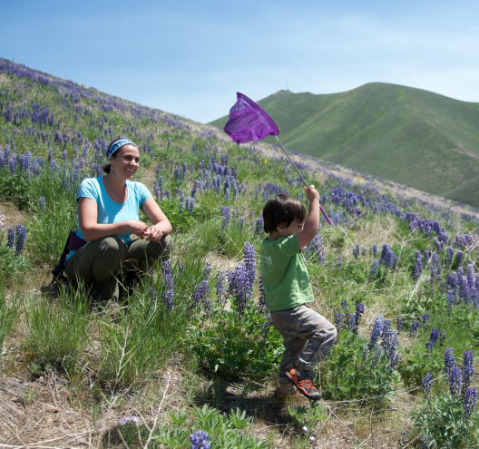 Hiking with Little Ones