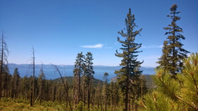 Tahoe Rim Trail Lake Tahoe Hikes