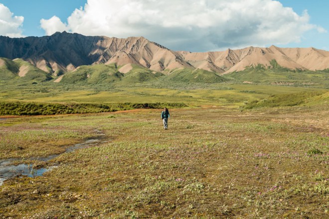 Denali National Park hiking