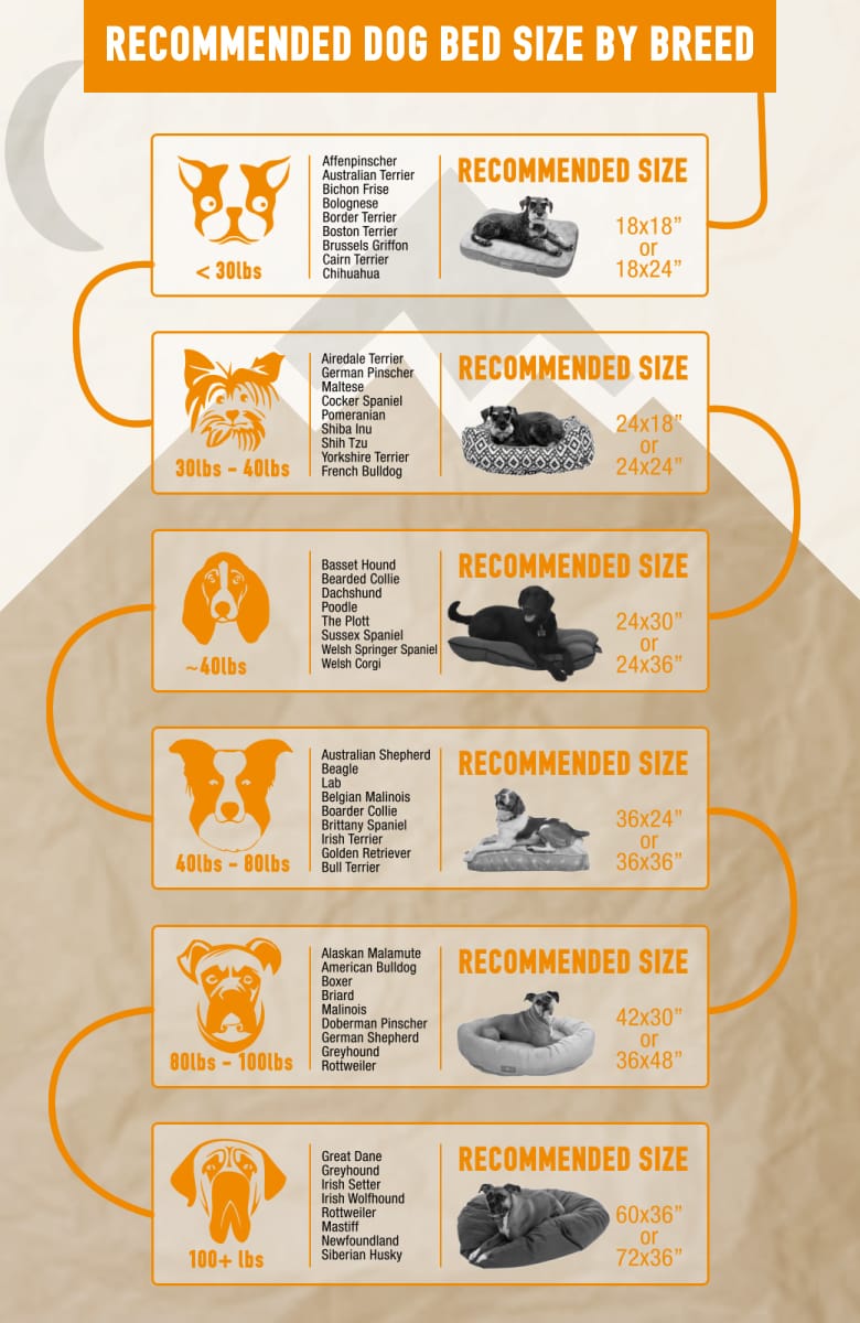 Dog Bed Sizes Chart | Portal.posgradount.edu.pe