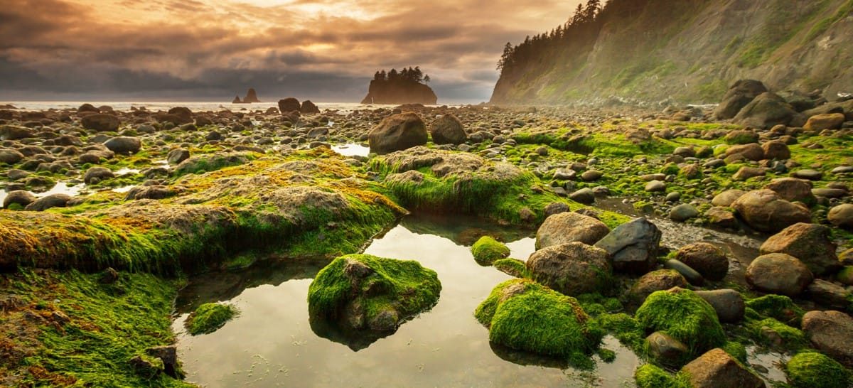 The Best Hikes in Olympic National Park: Any Season, Any Terrain ...