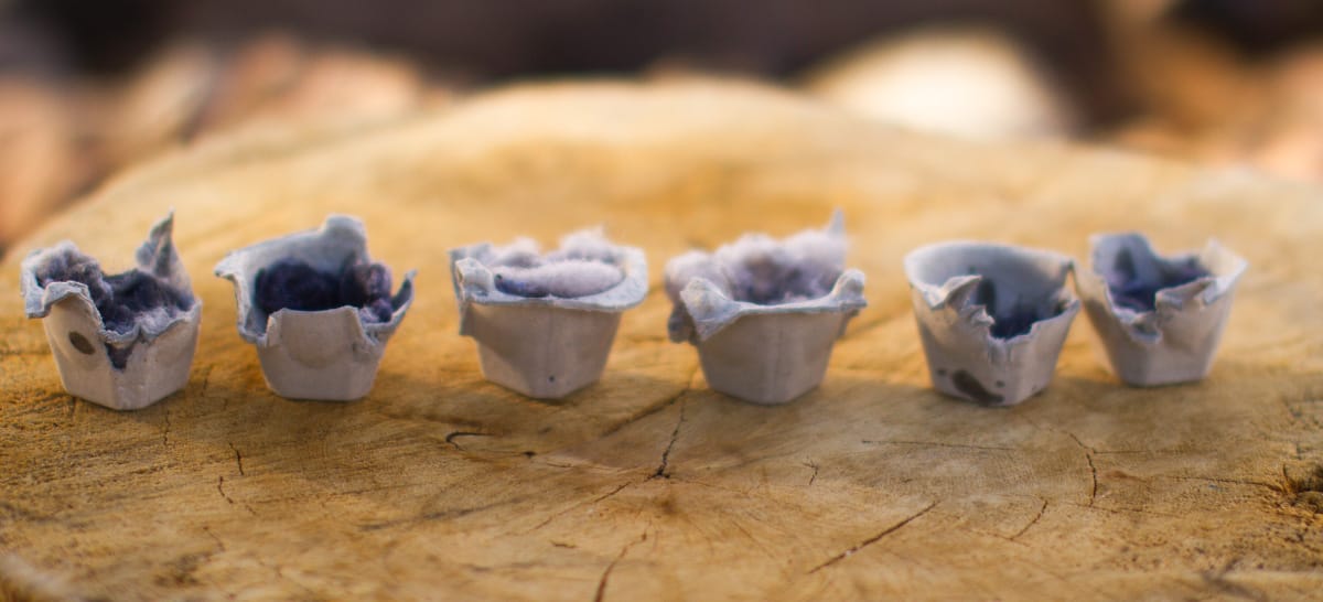 Make this Homemade Fire Starter Using Lint and an Egg Carton Sierra Blog