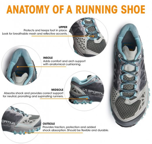 Parts of a Shoe  Running Shoe Anatomy