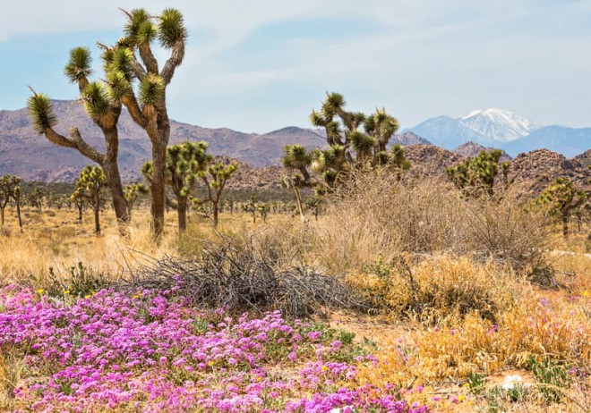 national parks to visit this spring