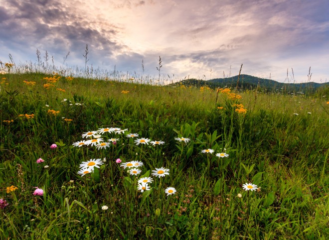 national parks to visit this spring